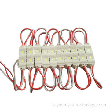 SMD 5050 LED Injection LED Module Light, 2 LED Waterproof IP67 Outdoor Cool White Warm White